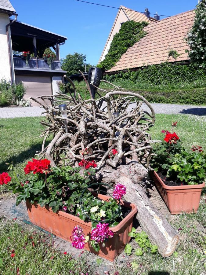 Apartamento Fewo Hoyer Hinterhermsdorf Exterior foto